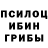 Псилоцибиновые грибы Psilocybe Oksana Mikova