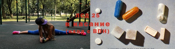 сатива Липки
