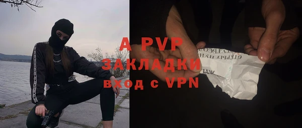 сатива Липки