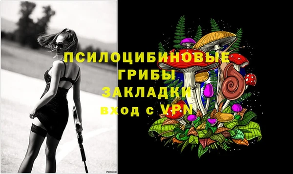 сатива Липки