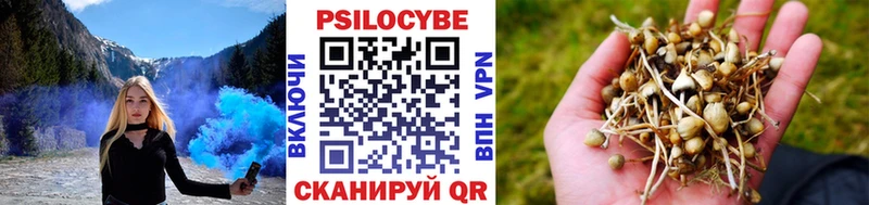 Галлюциногенные грибы мухоморы  Звенигород 