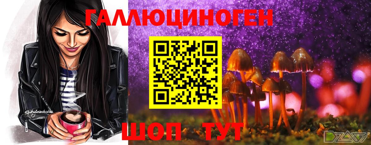 Псилоцибиновые грибы ЛСД Звенигород