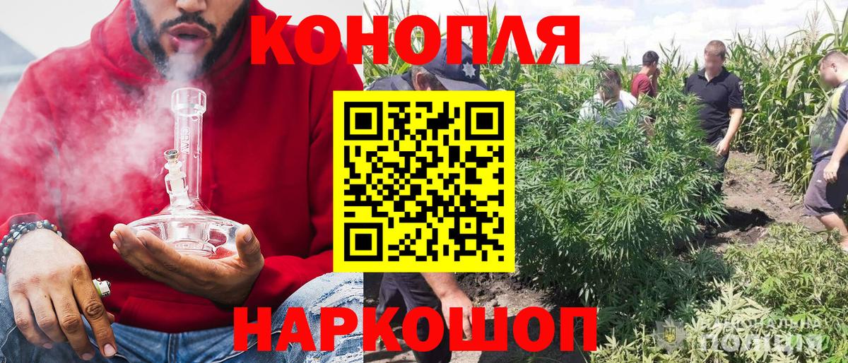 Бошки марихуана семена Звенигород